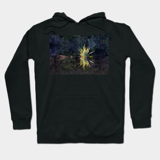 Lake Hanlon reflection Hoodie